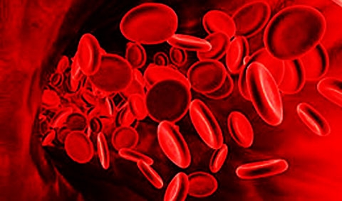 ออกกำลังกายตามกรุ๊ปเลือด