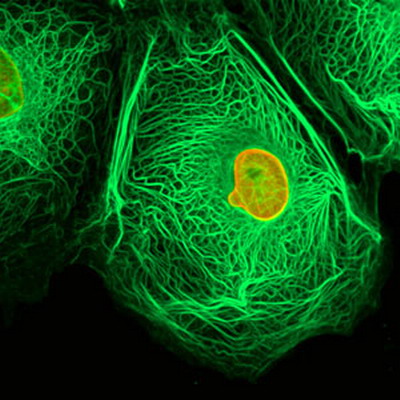 รู้ทัน มะเร็ง ร้าย