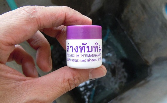ด่างทับทิม (Potassium Permanganate) ประโยชน์ด่างทับทิม 9 ข้อ