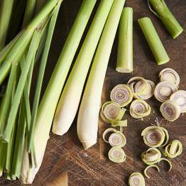 ตะไคร้แก้เวียนหัว