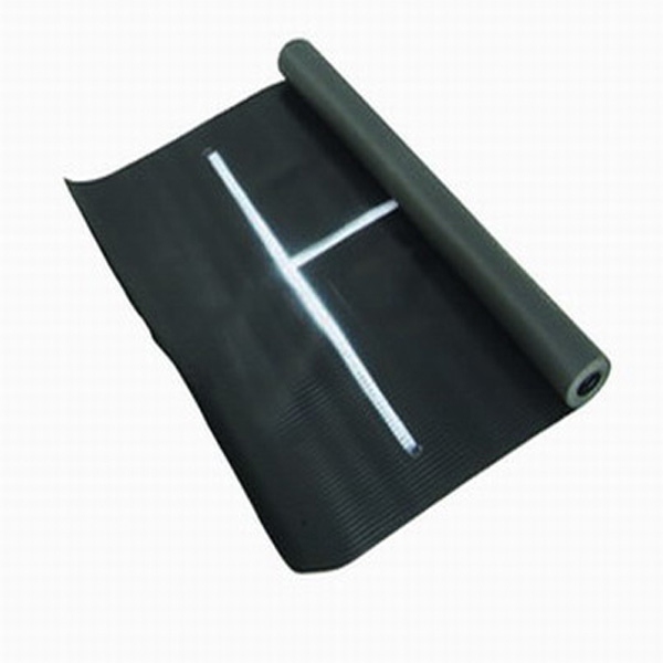 แผ่นยางกระโดดไกล