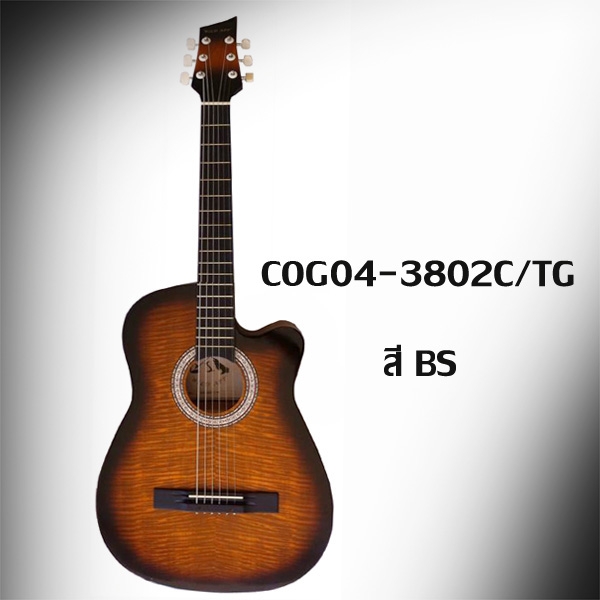 กีต้าร์โปร่ง WILD APP 12 ข้อ 38 นิ้ว คอเว้า รุ่น COG04 - 3802C / TG