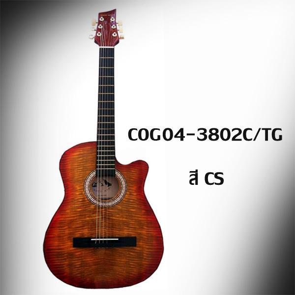 กีต้าร์โปร่ง WILD APP 12 ข้อ 38 นิ้ว คอเว้า รุ่น COG04 - 3802C / TG