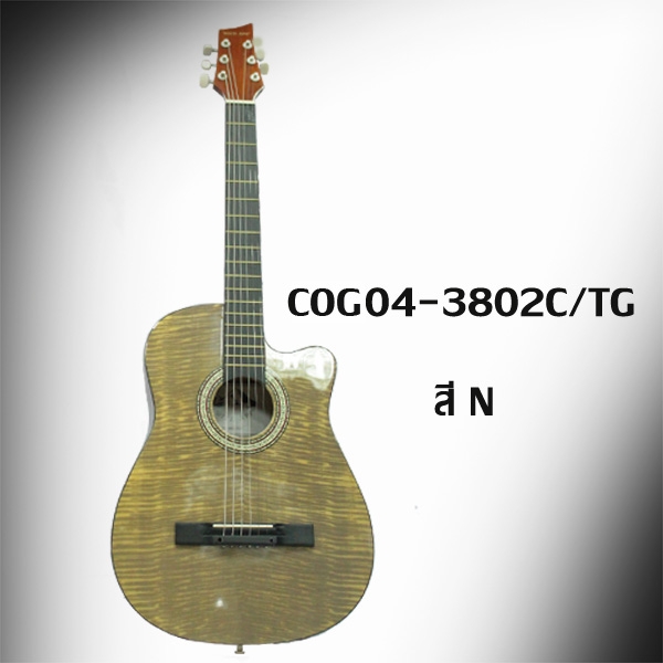 กีต้าร์โปร่ง WILD APP 12 ข้อ 38 นิ้ว คอเว้า รุ่น COG04 - 3802C / TG