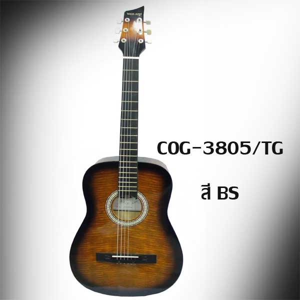 กีต้าร์โปร่ง WILD APP 12 ข้อ คอธรรมดา  รุ่น COG-04-3805/TG