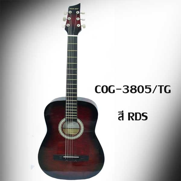 กีต้าร์โปร่ง WILD APP 12 ข้อ คอธรรมดา  รุ่น COG-04-3805/TG